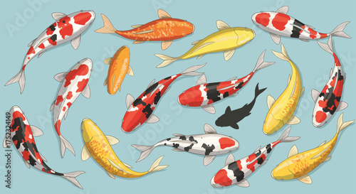 Koi fish illustration, Japanese style, colorful carp, aquatic life, ornamental fish, pond scene, swimming pattern, peaceful water, vibrant design, top view