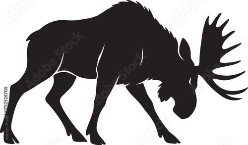 Majestic moose silhouette animal wildlife