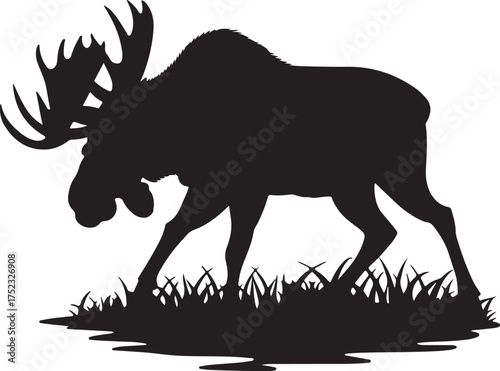 Majestic moose walking through grass animal wildlife