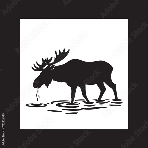 Moose drinking water ripples animal wildlife