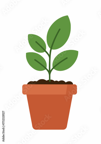 Vibrant green seedling unfurling new leaves in a terracotta pot, symbolizing growth, new beginnings, and natural vitality for eco-friendly projects and organic themes