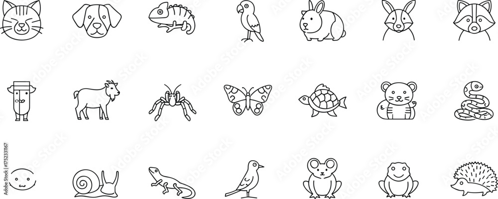 Fototapeta premium Cartoon animal icons, cat, dog, rabbit, fox, raccoon, cow, goat, bear, turtle, frog, lizard, snake, spider, butterfly, bird, mouse, hedgehog, chameleon, parrot, cad drawing flat vector illustration