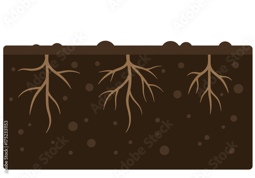 Plant Roots in Soil Illustration with Brown Tones and Simple Design.