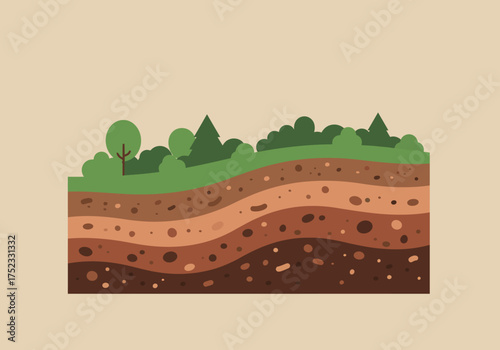 Soil Layers with Vegetation: A Cross-Sectional View of Earth.