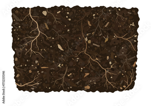 Soil Cross-Section with Roots and Organic Matter Illustration.