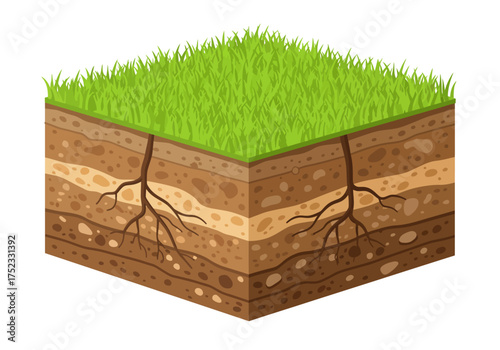 Isometric Soil Profile with Grass and Roots Illustration.