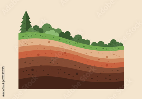 Soil Layers with Vegetation and Tree Illustration.