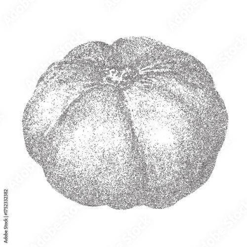 Pumpkin vector illustration. Trendy stippling photocopy effect