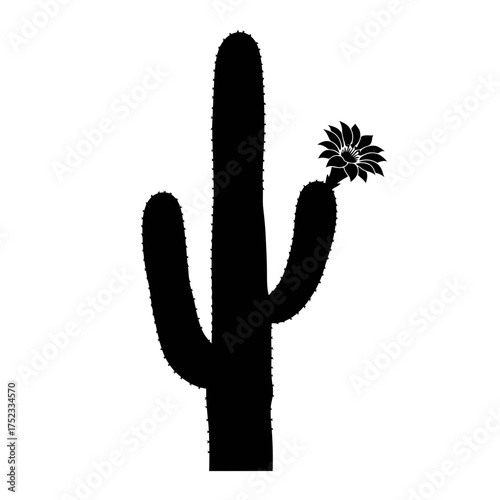 Saguaro cactus with flower silhouette isolated on white background