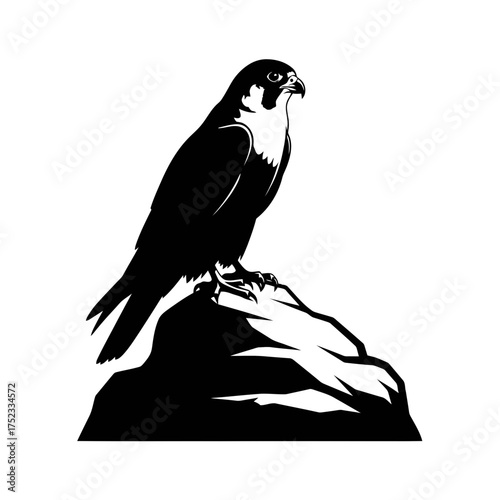 Peregrine falcon perched on a rock silhouette isolated on white background