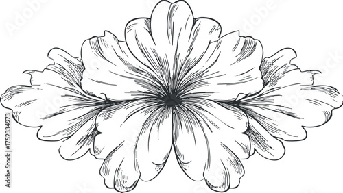 Black and white symmetrical floral illustration with detailed petals and elegant design elements.
