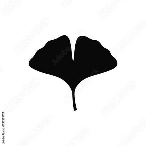Фотография Ginkgo Leaf Silhouette – Fan Shaped Minimal Vector
