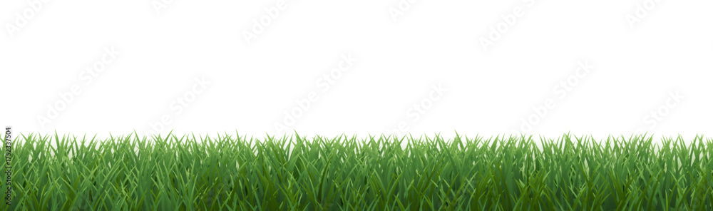 Fototapeta premium Green Grass Border Isolated White