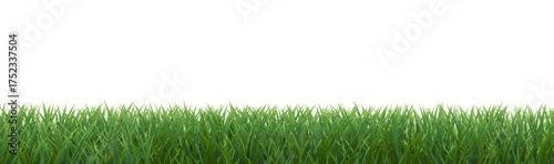Green Grass Border Isolated White