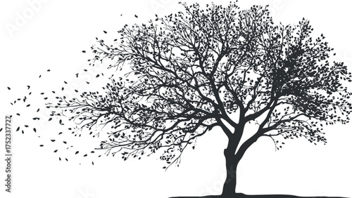 Silhouette of a tree with wind-blown branches and leaves, capturing an autumnal breeze.