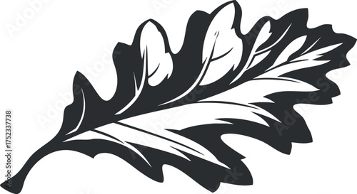 Silhouette of an oak leaf illustration in black and white, showcasing a simple botanical design.