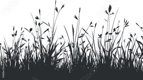 Silhouette of wild grasses and plants on a white background, ideal for nature-themed designs.
