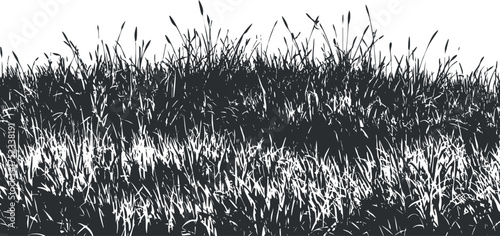 Black and white silhouette of grass creating an abstract landscape design.