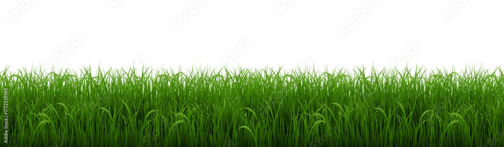 Fototapeta premium Green Grass Border With Isolated White Poster