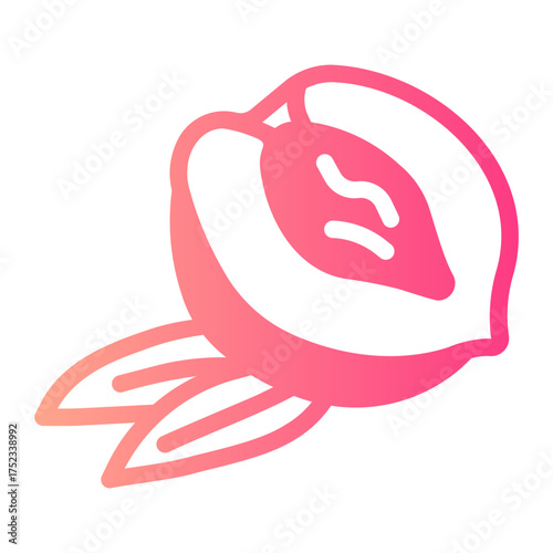 peach gradient icon