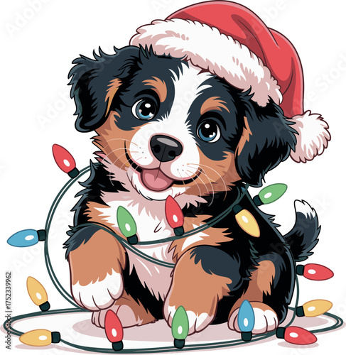 Bernese Mountain Dog puppy wearing Santa hat with Christmas lights