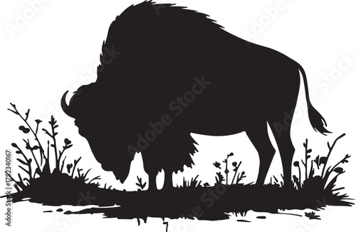 Bison grazing in grassy field buffalo eating