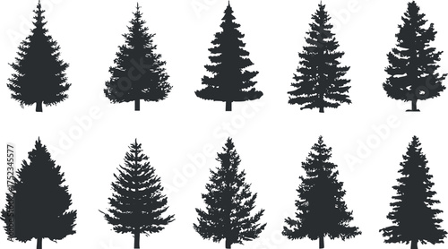 Set of evergreen tree silhouettes in black on a white background, perfect for design use.
