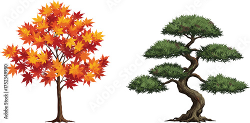 Autumn maple tree illustration, bonsai garden artwork, seasonal nature drawing, Japanese style tree, colorful foliage art, traditional culture concept, landscape design