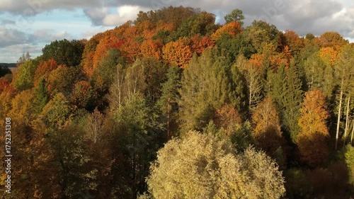Aerial view of a vibrant autumn forest near a lake, showcasing colorful treetops in shades of yellow, orange, red, and green under warm sunlight.