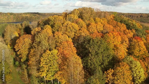 Aerial view of a vibrant autumn forest near a lake, showcasing colorful treetops in shades of yellow, orange, red, and green under warm sunlight.