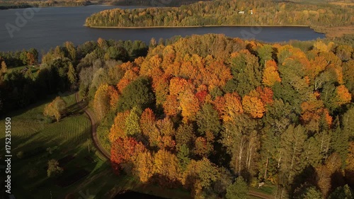 Aerial view of a lake surrounded by a colorful autumn forest, with golden, orange, and green trees glowing under a bright blue sky with scattered clouds.