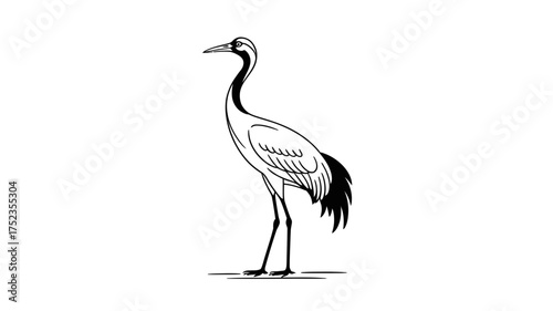 Elegant crane stands poised in a simple, artistic illustration with a touch of nature.