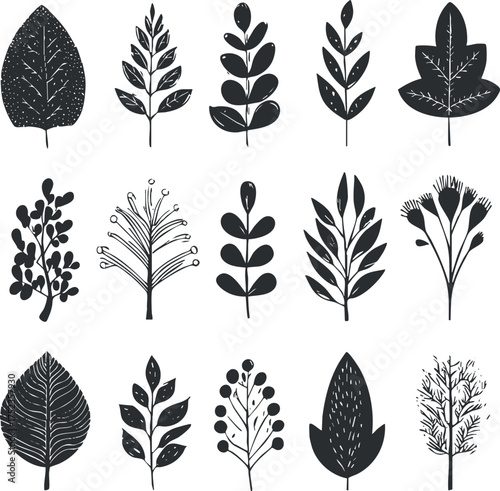 Black and white botanical leaf illustrations in a variety of shapes and styles.