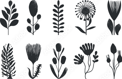 Collection of black and white botanical silhouettes featuring various plant and floral designs.