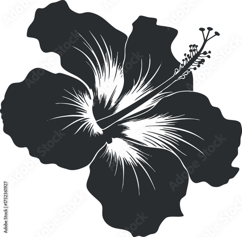 Silhouette of a hibiscus flower with detailed petals and stamens in monochrome style.