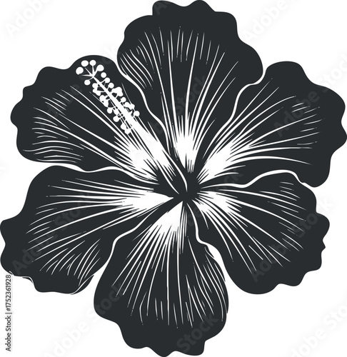 Black and white illustration of a hibiscus flower with detailed petals and stamen.
