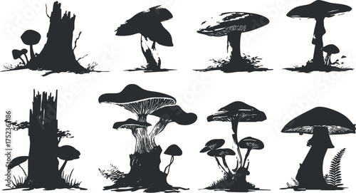 Black and white silhouette illustrations of various mushrooms and tree stumps in a forest setting.