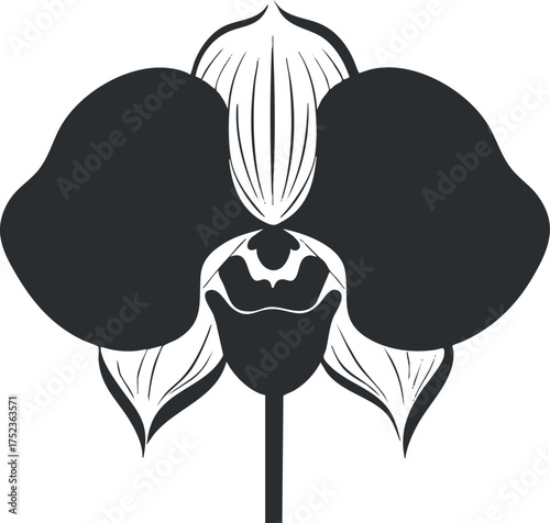 Silhouette of an orchid flower in black and white, showcasing a minimalist botanical design.