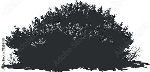 Silhouette of a dense bush with intricate foliage, ideal for nature and garden themes.