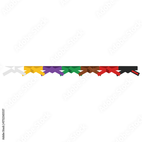 A full set of karate belts displayed against a white backdrop