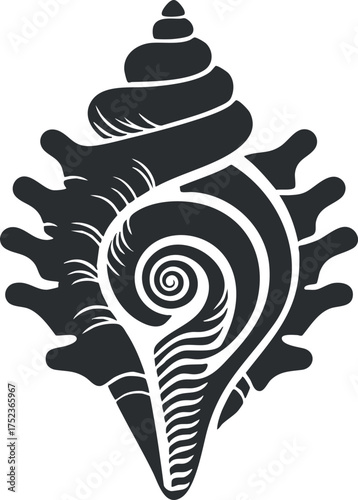 Black and white decorative conch shell illustration with a stylized spiral design.
