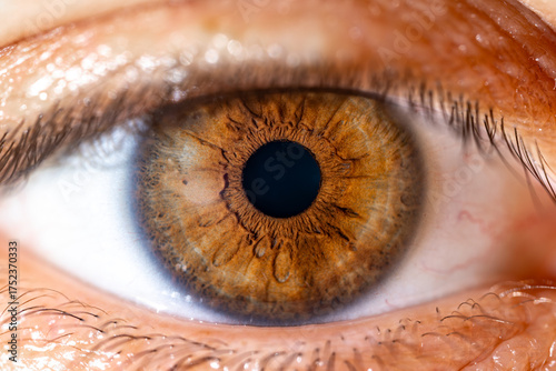 Female Brown Colored Eye With Long Lashes Close Up. Structural Anatomy. Human Iris Macro Detail.