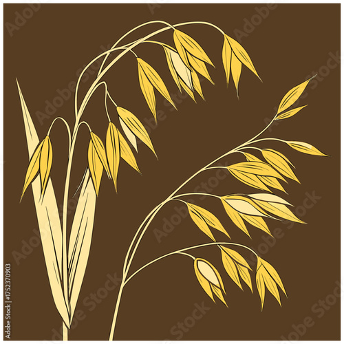 Two sprigs of golden oats are depicted against a dark brown backdrop. The oats, rendered in a stylized watercolor illustration, exhibit a warm, inviting palette of yellows, golds, and creams. The left