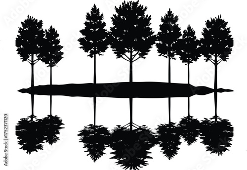 Serene Lakeside Forest Silhouette Reflections on Calm Water