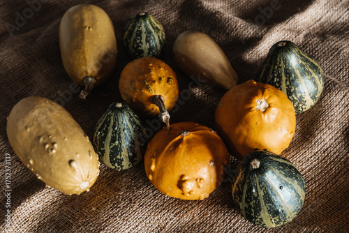 Yellow & Green Mini Decorative Pumpkins