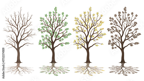 Vector art of four seasons trees showing the changes of the year
