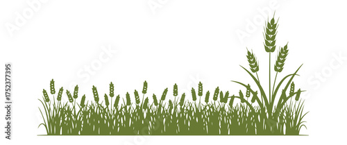 Green Silhouette of Wheat Stalks and Grass on White agriculture grain