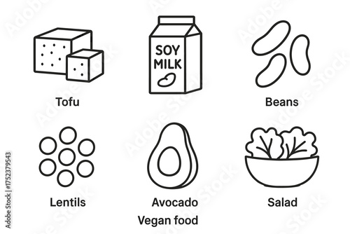 Vegan protein sources: tofu, soy milk, beans, lentils, avocado, salad