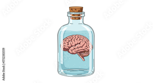 A preserved human brain floating in a clear liquid inside a glass bottle with a cork stopper.