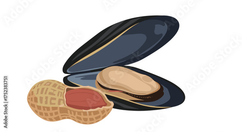 A pair of shelled mussels with a broken peanut nearby.